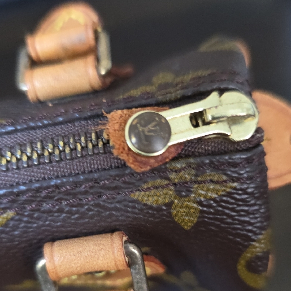 Nano Speedy Louis Vuitton Monogram Mini Bag - Picture 10 of 15